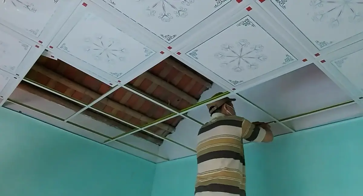 Mẫu là phông trần thả